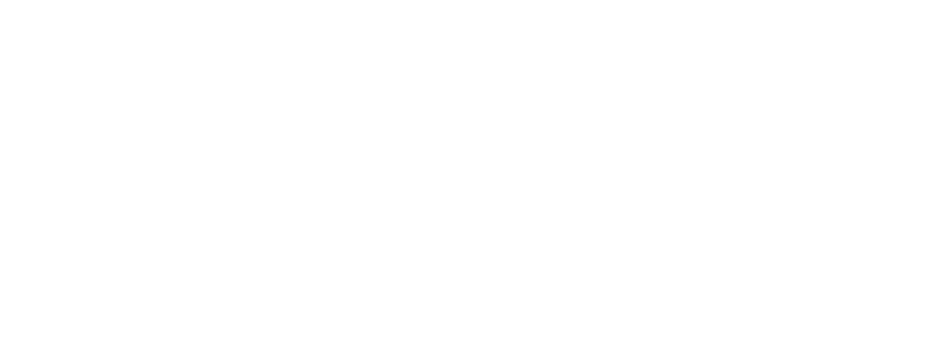 Cyclone logo white